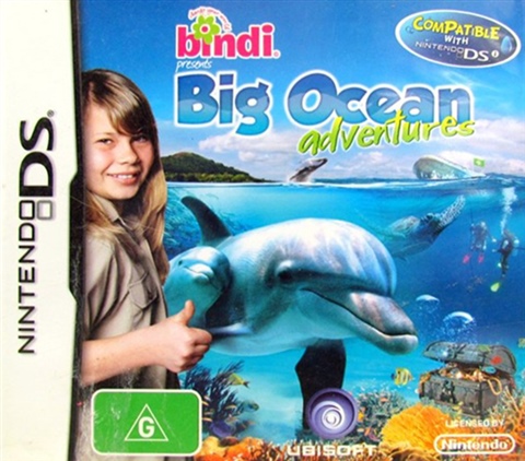 nintendo ds ocean game